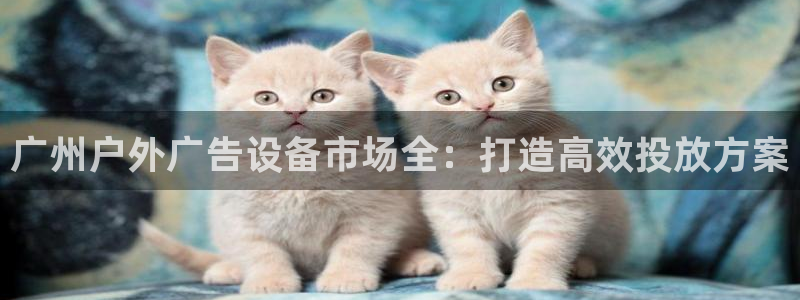 杏宇平台怎么样知乎