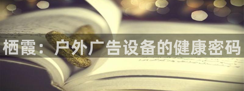 杏宇平台代理多少钱一个月