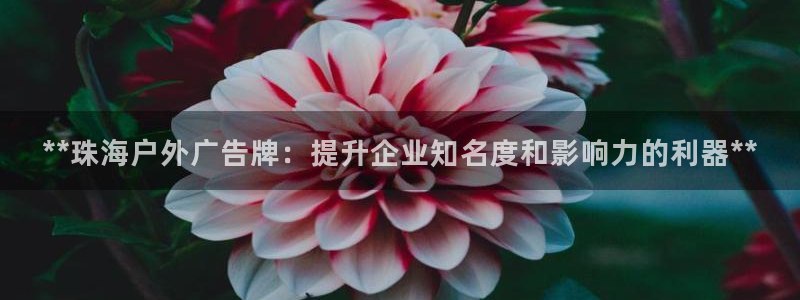 杏宇平台代理多少钱一个：**珠海户外广告牌：提升企业知名度和影响力的利器**