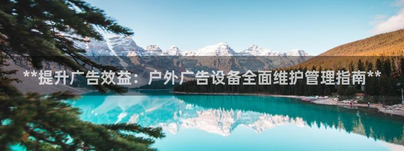 杏宇平台总代理