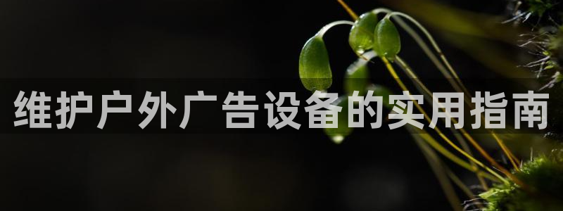 杏宇平台总代理