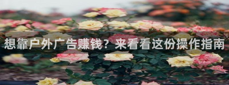 杏宇平台主管