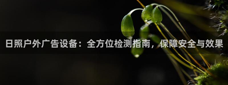 杏宇平台代理多少钱