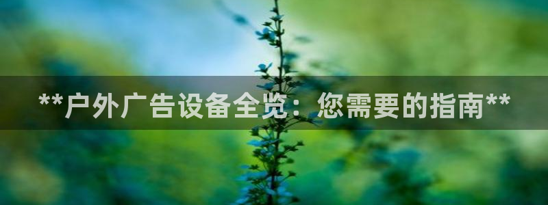 杏宇平台代理多少钱一个月