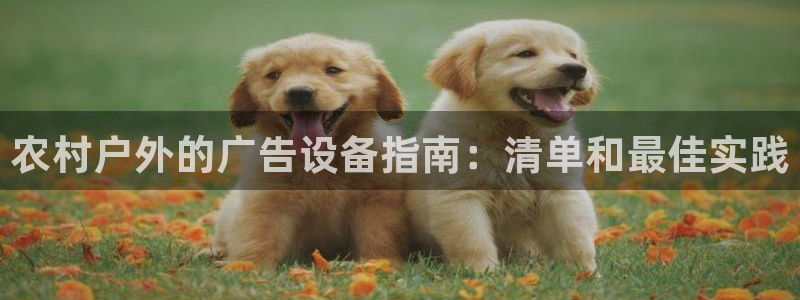 杏宇代理注册