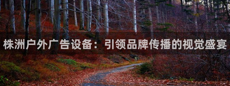 杏宇平台登录步骤是什么
