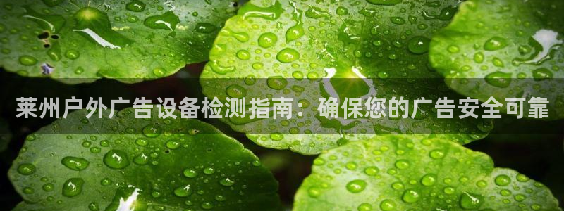 杏宇平台登录步骤：莱州户外广告设备检测指南：确保您的广告安全可靠