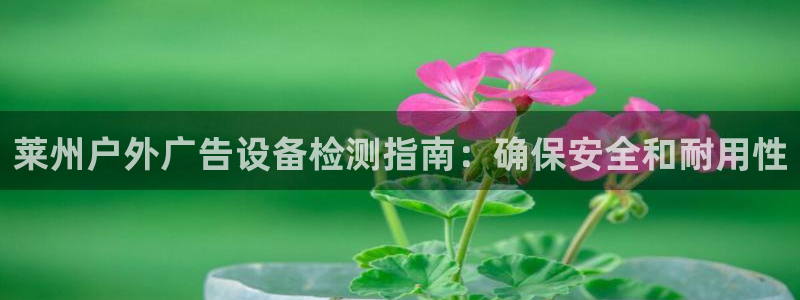 杏宇平台代理怎么样啊