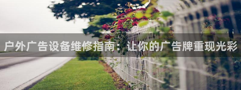 杏宇平台总代理电话