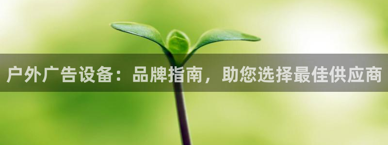 杏宇官方平台官网下载