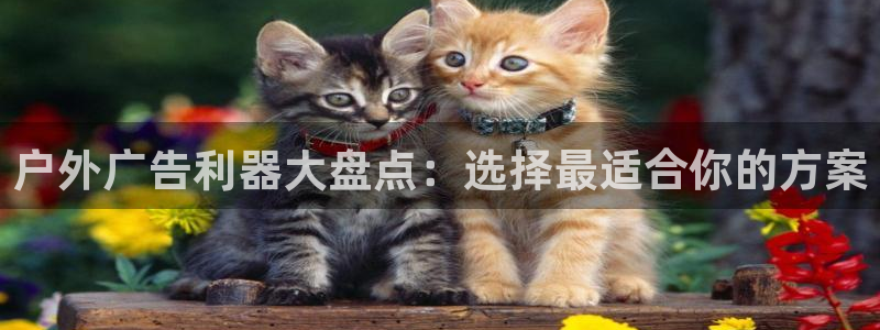 杏宇官方平台官网