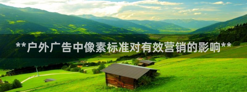 杏宇平台官网注册：**户外广告中像素标准对有效营销的影响**