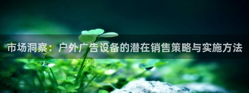 杏宇平台代理怎么样赚钱：市场洞察：户外广